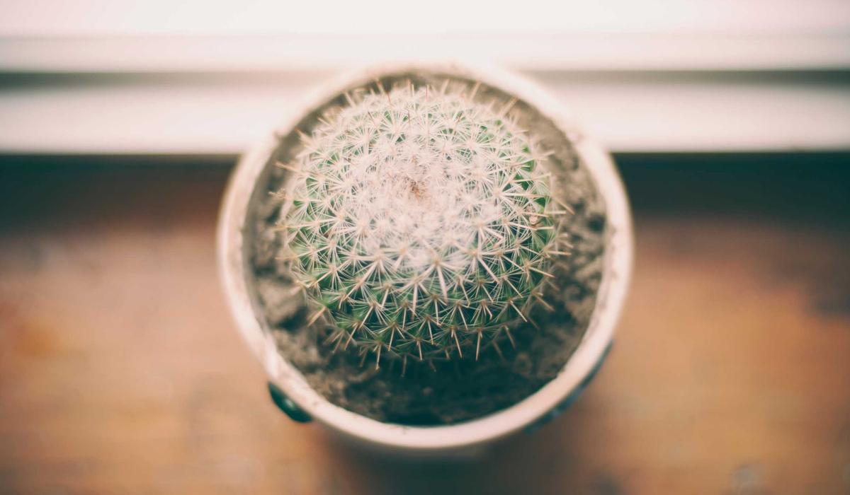 The careful reader guide to finding better examples