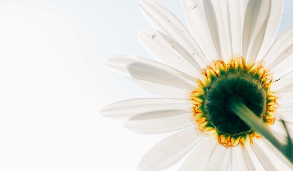 The careful reader guide to turning notes into action